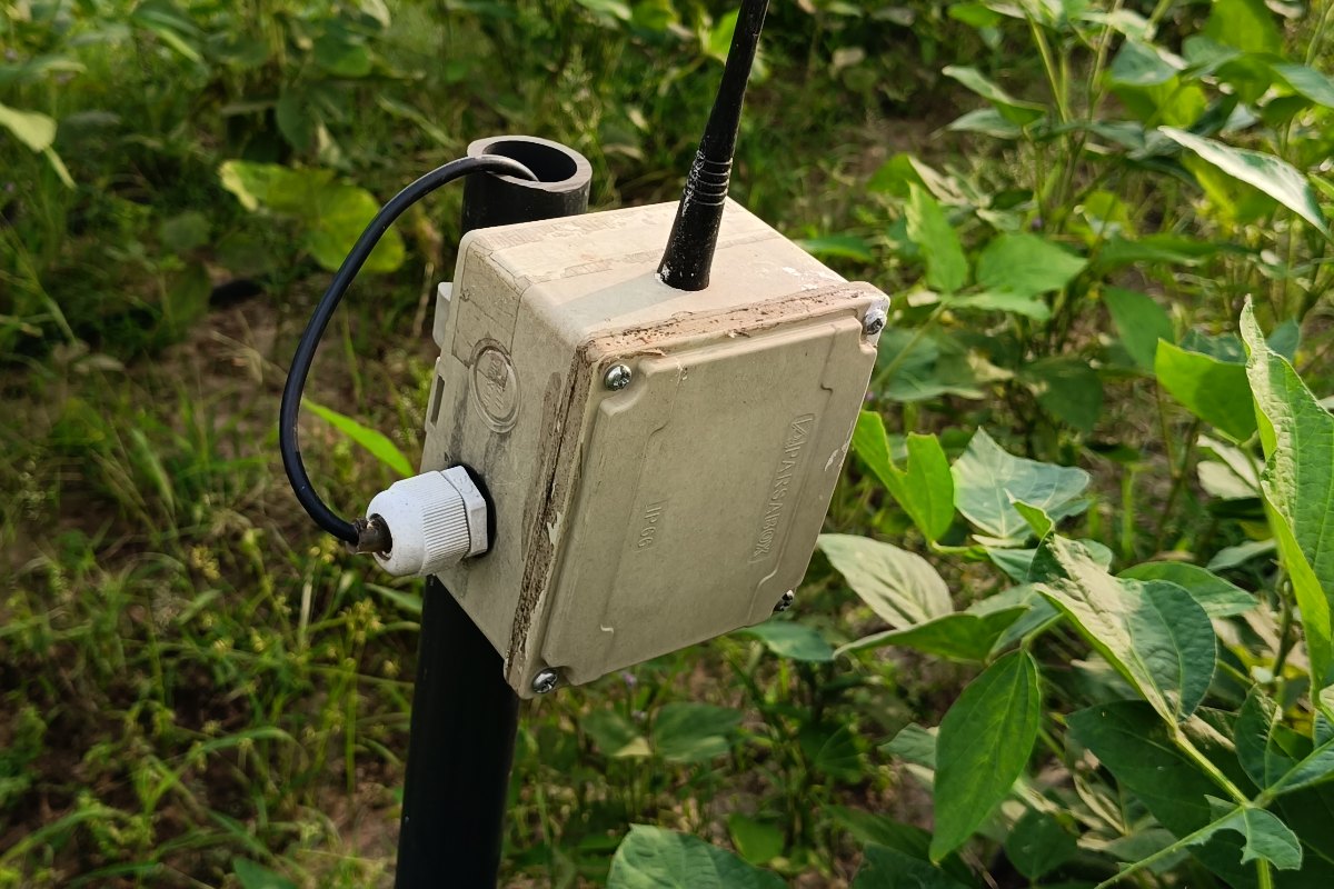 Close up of a WaterSense soil moisture node and antenna mounted on a field mast in a Punjab crop plot