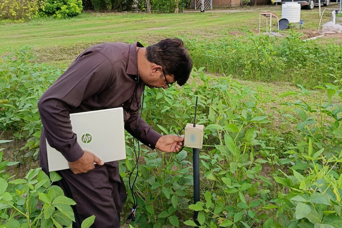 Field engineer checking a WaterSense soil moisture node from a laptop during a routine site visit