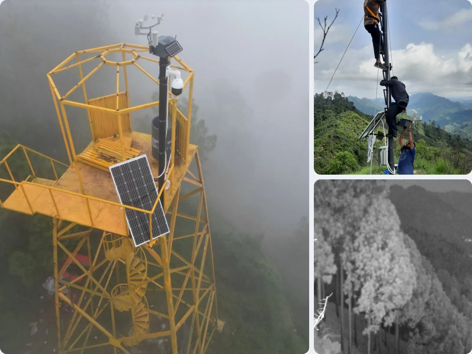 Services Fire watchtower with camera and solar panel, team installing a camera, and a night view over the forest