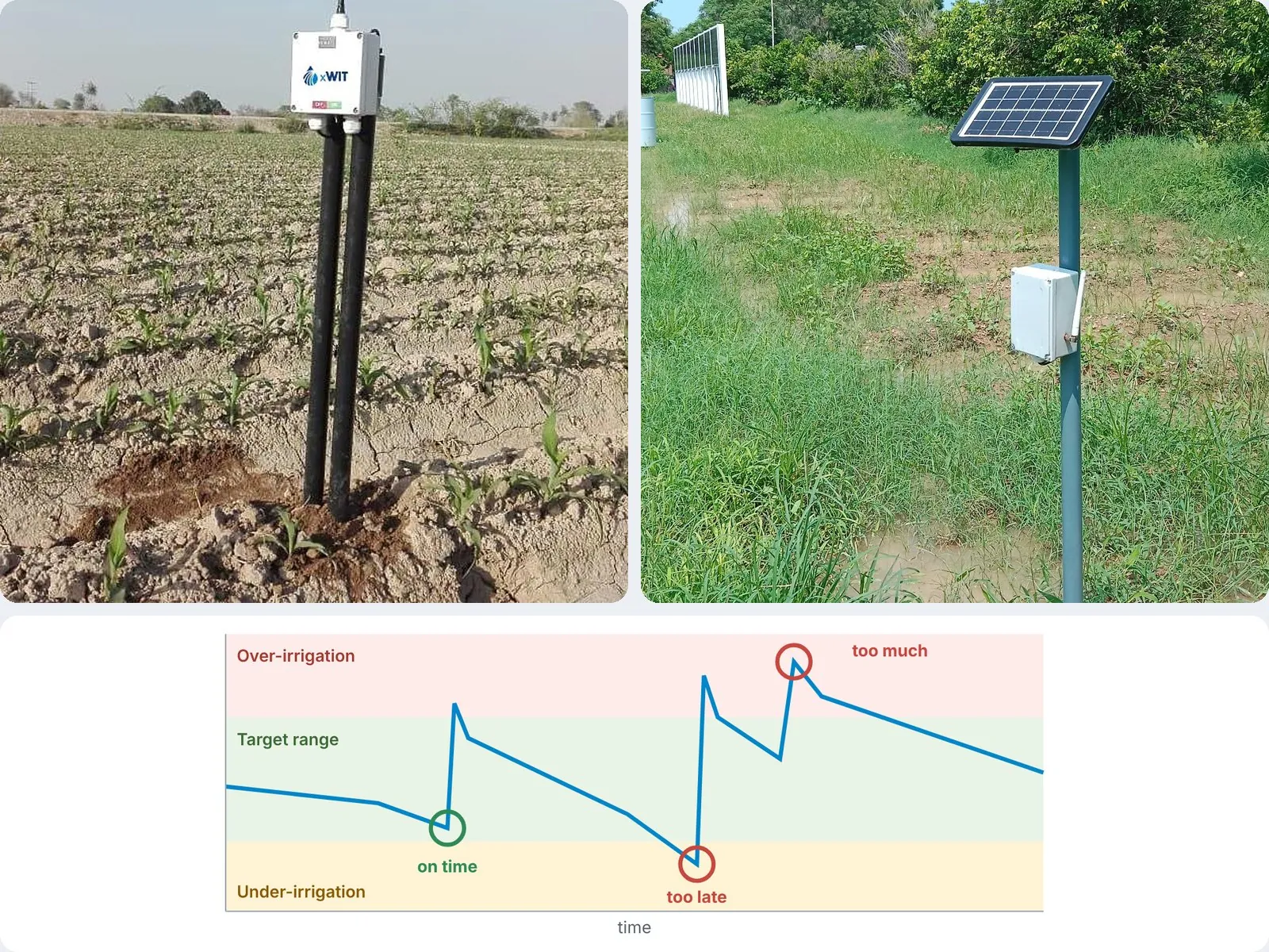 Services WaterSense sensors in the field and a soil moisture chart showing on-time and mistimed irrigation