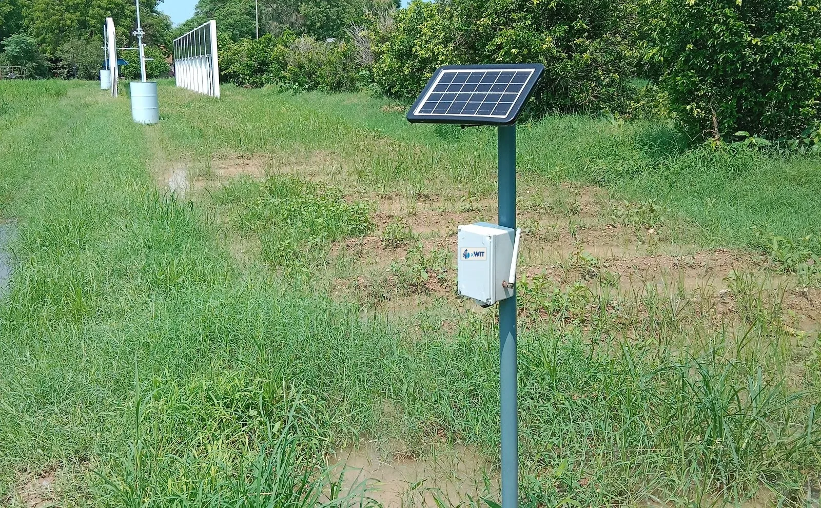 Home WaterSense soil moisture node on a solar mast in an irrigated field